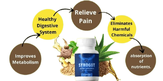 order synogut